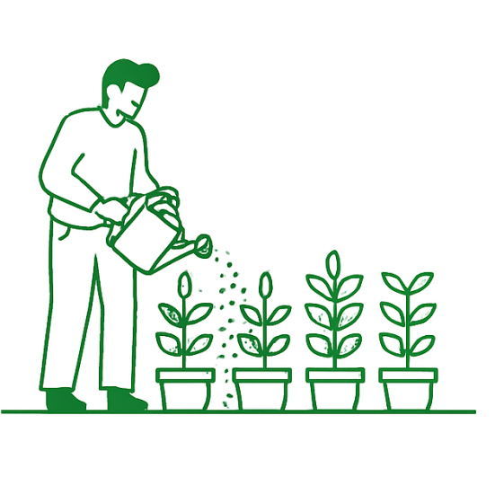 Arrosage des plantes